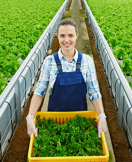 different-section-img